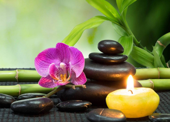 Holistic Counselling & Healing centre cork, Counselling and Kinesiology Centre Cork